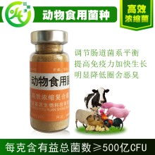 保健食品 健康守護還是商業陷阱？