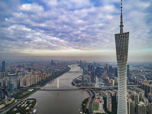 廣州發布人工智能產業發展方案，力爭五年引育萬家AI企業，技術服務雙輪驅動
